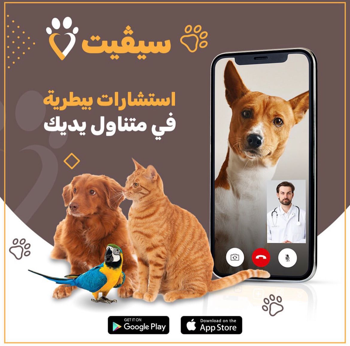 استشارة طبية